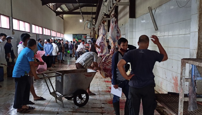 Keluarkan SE, Menag Imbau Umat di Daerah Wabah PMK Sembelih Kurban di RPH