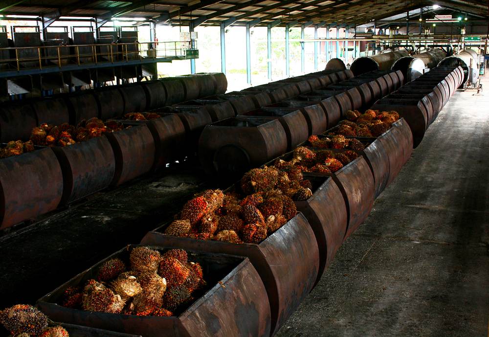 BPKP dan Kejagung Bentuk Tim Gabungan Audit Industri Kelapa Sawit