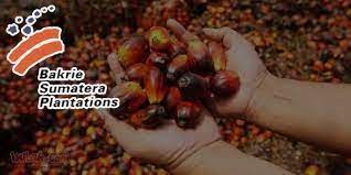 Bakrie Sumatera Plantations (UNSP) Raih Penjualan Rp1,19 Triliun. dok. EmitenNews. Menggembirakan! Bakrie Sumatera Plantations (UNSP) Raih Penjualan Rp1,19 Triliun