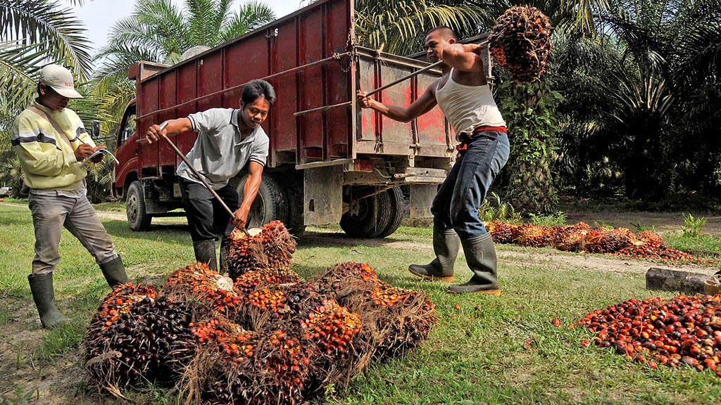 Emiten Sawit Milik Bakrie Masih Defisit Rp14,3 Triliun Hingga Maret 2022