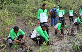 FridayInTimah, Sukseskan Program NZE 2060, PT Timah (TINS) Tanam 20 Ribu Bakau