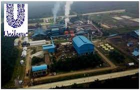 Punya Konsumen Setia, Laba Semester I-2022 Unilever (UNVR) Naik 12,6% Jadi Rp3,4 Triliun