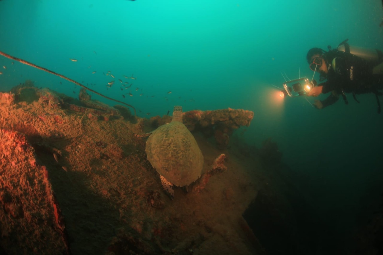 Mengabadikan Keindahan Bawah Laut Mandeh, Pesisir Selatan, Sumbar