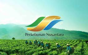 Incar Dana Hingga Rp10 Triliun, Subholding Sawit Milik PTPN Disiapkan Untuk IPO