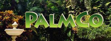 Palmco. dok. Internasionalmedia. Dukung Holding PTPN IPO, Pemerintah Ingin BUMN jadi Penentu Harga Minyak Goreng