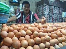Pedagang telur ayam. dok. medcom. Tenang! Mendag Zulhas Jamin Harga Telur Ayam Normal dalam Dua Minggu