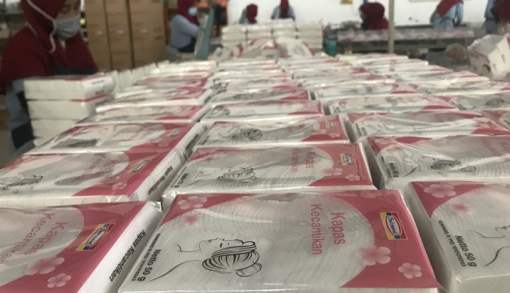 Negosiasi Alot, Investor Siap Normalisasi Operasional Cottonindo (KPAS)