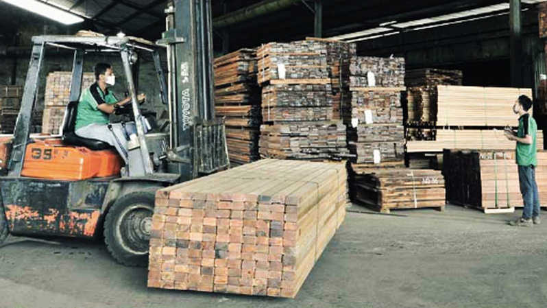 Pendapatan Tumbuh, Darmi Bersaudara (KAYU) Catat Laba Rp530 Juta
