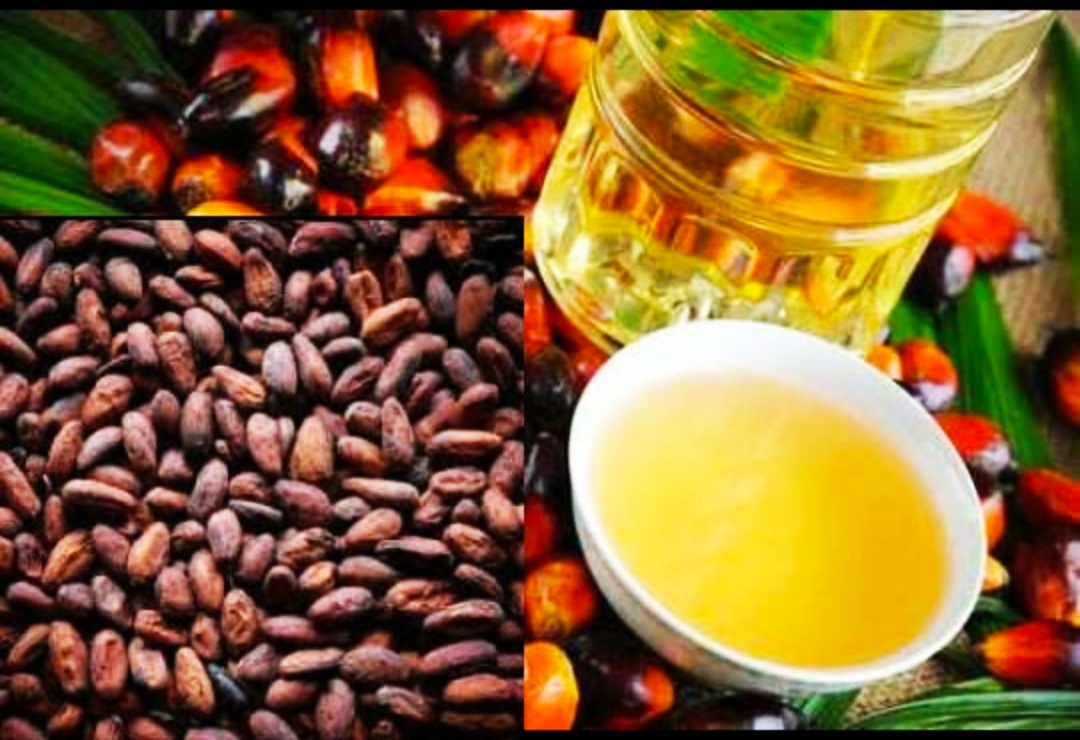 Harga Referensi CPO Naik, 1-15 September 2022 Pemerintah Kenakan Bea Keluar USD74/MT