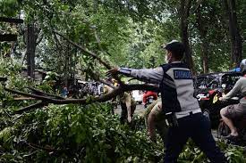 BMKG Ingatkan Cuaca Ekstrim di Jakarta Hingga 16 September, Awas Pohon Tumbang. dok2. Kompas. BMKG Ingatkan Cuaca Ekstrim di Jakarta Hingga 16 September, Awas Pohon Tumbang!