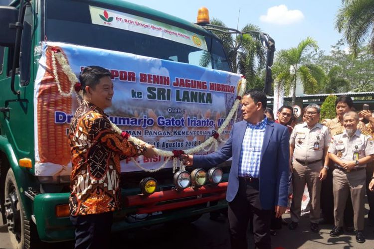 Jagung ekspor ke Sirlanka Dok Kementan. Petani Diminta Fokus Produksi, Mendag Usul Dana Rp100 Triliun untuk BUMN Beli Hasil Tani