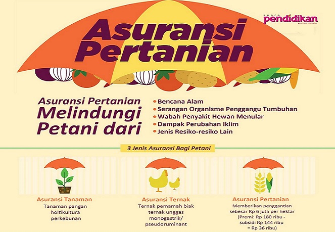 Kementan Berencana Perluas Cakupan Asuransi Pertanian ke Komoditas Berikut Ini