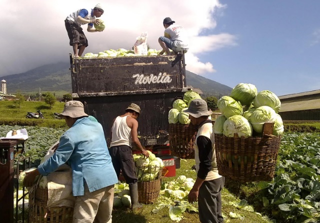 Kinerja Kegiatan Usaha Melambat di Triwulan III, Terutama di Sektor Agrikultur