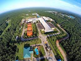 Jadi Emiten ke-49 di 2022, Listing Perdana Citra Borneo Utama (CBUT) Disambut Aksi Beli