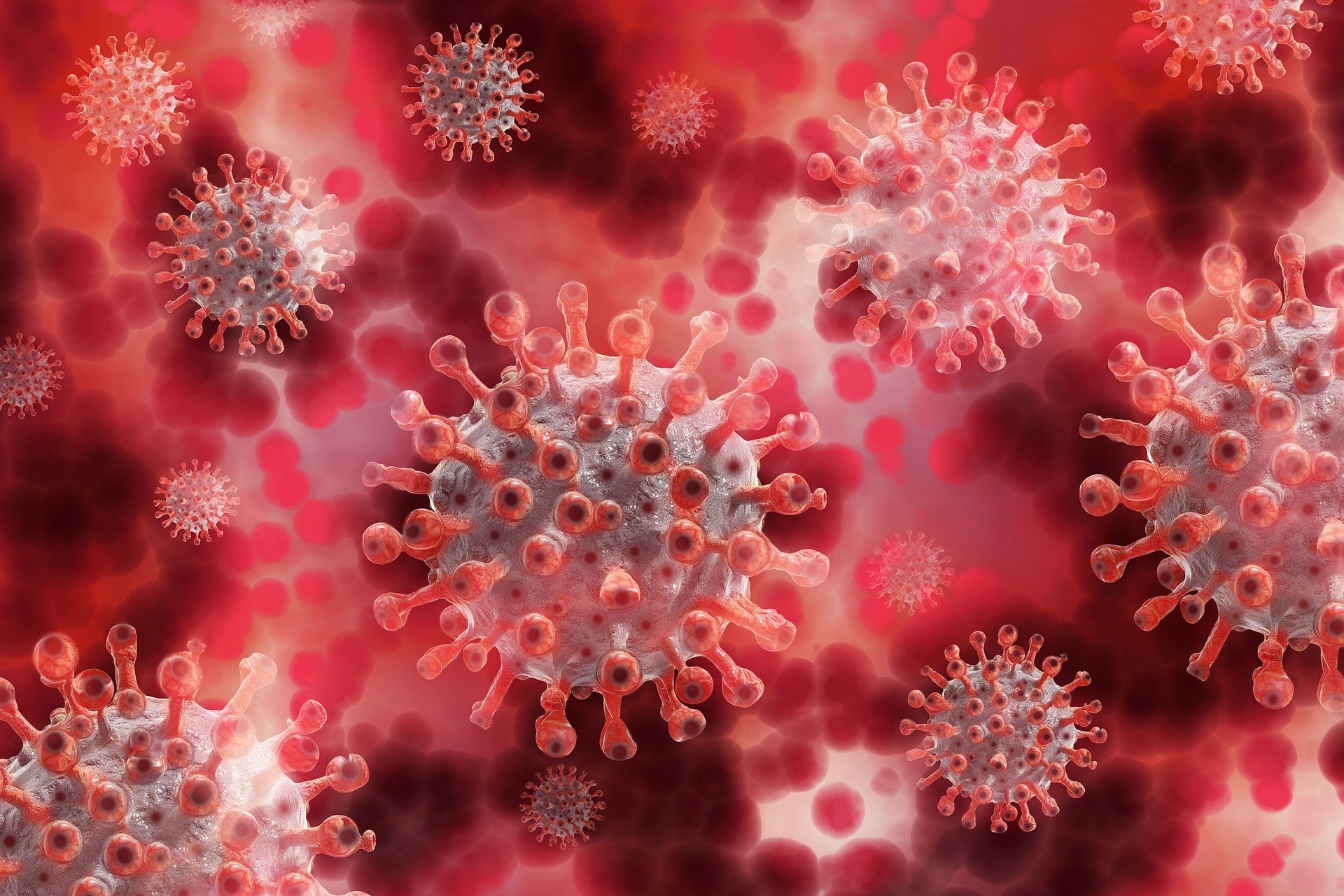 Covid-19 ilustrasi Omicron. Fixbay. Waspadai Terus Pandemi Covid-19: Subvarian BN.1 yang Sangat Menular sudah di Indonesia
