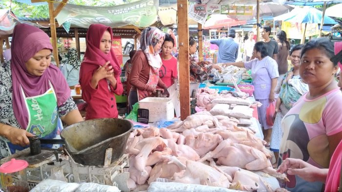 Pedagang daging ayam melayani pembeli. dok. Tribunnews. Inkoppas Nilai Kenaikan Harga Barang Masih Wajar, Tetapi Pemerintah Harus Jamin Ini