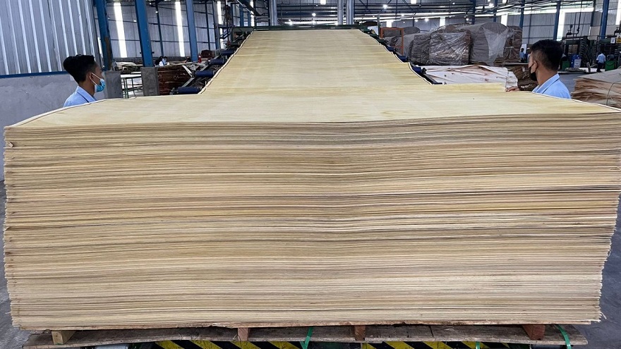 Book Building Hari Ini, Produsen Kayu Lapis (FWCT) Tawarkan Rp108 - 118 per Saham