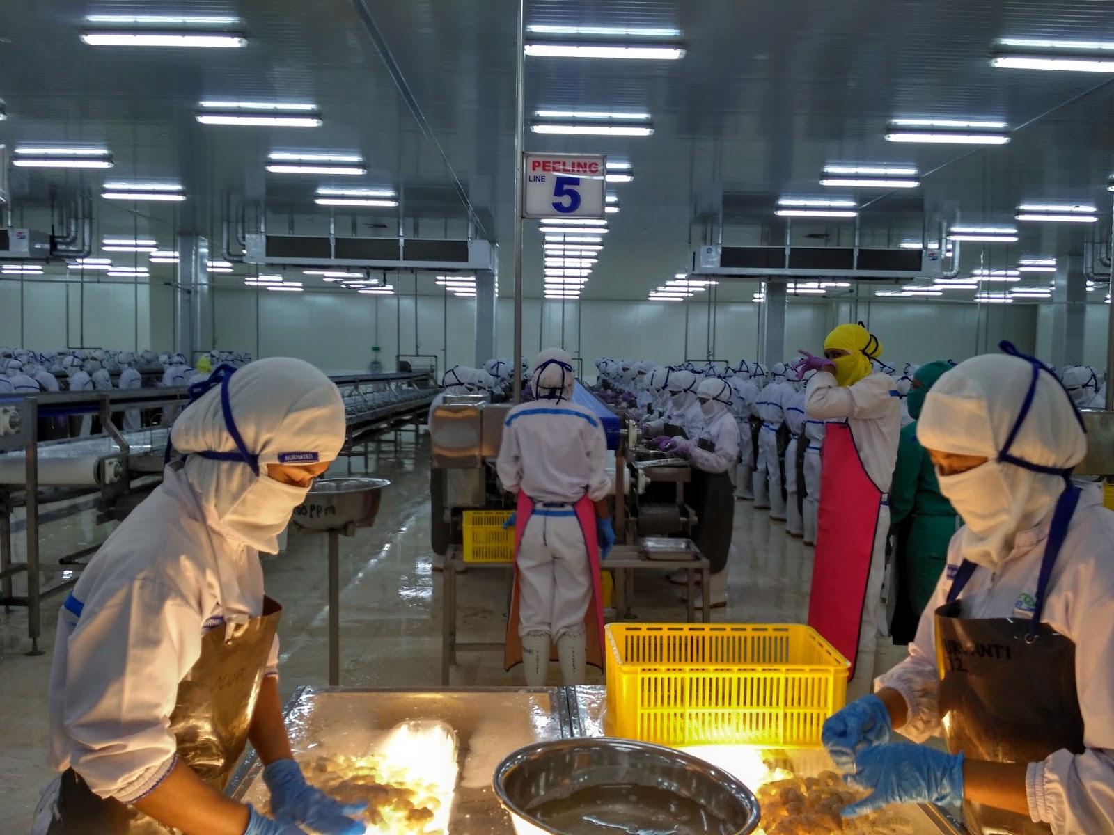 Homologasi PKPU Terancam, Ini Penjelasan Dua Putra Utama Makmur (DPUM)