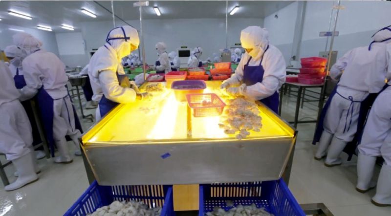 Kemplang BEI Rp569,29 Juta, Ini Penjelasan Dua Putra Utama Makmur (DPUM)