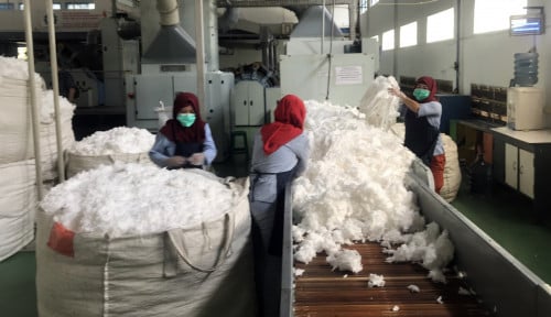 Pailit! Manajemen Cottonindo Ariesta (KPAS) Pasrah