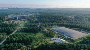 Mulai Besok, Eagle High Plantations (BWPT) Siapkan Rp50 M Buat Buyback Saham