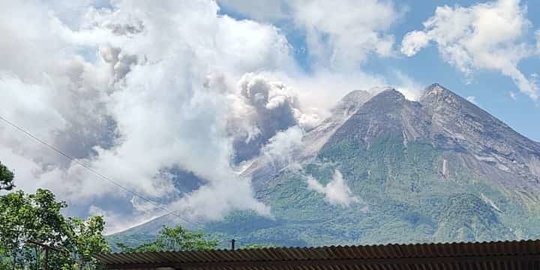 Enam Kali Wedus Gembel Muncul di Puncak Gunung Merapi, Warga Diminta Waspada