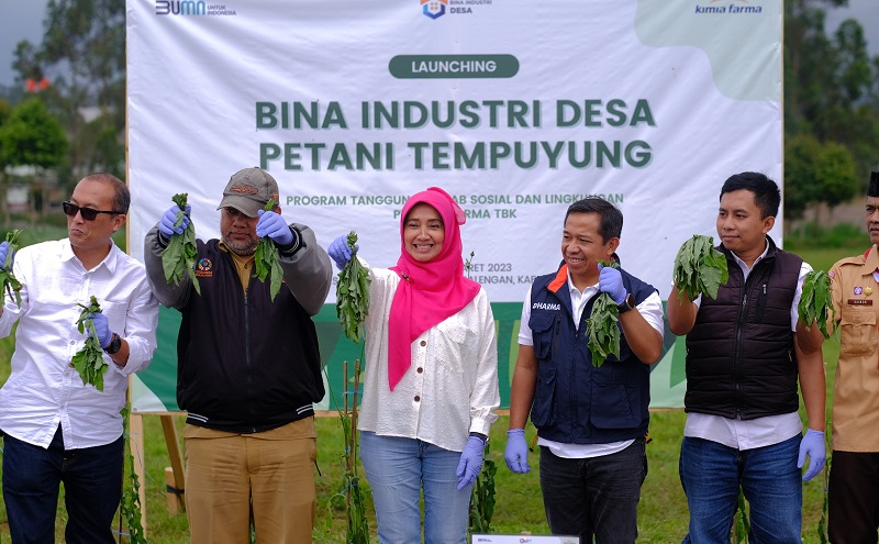 Kimia Farma (KAEF) Bina Petani Tempuyung Melalui Program Bina Industri