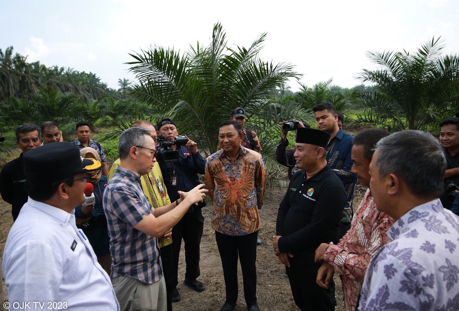 Masuk Komoditas Strategis, Regulator Dorong Peningkatan Pendanaan Kepada Petani Sawit