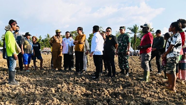 Pemerintah Siapkan 10 Ribu Hektarte Untuk Food Estate Jagung di Papua
