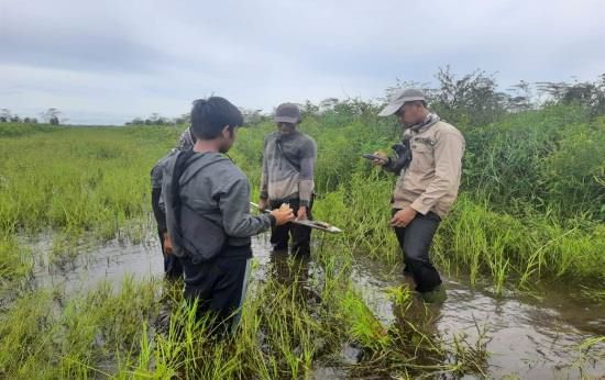 PT Sepalar Yasa Kartika (SYK) menyadari pentingnya melakukan pengelolaan dan perlindungan terhadap area konservasi dan lahan gambut secara berkelanjutan. dok. ist. Program Konservasi Lahan Gambut PT SYK Untuk Atasi Perubahan Iklim