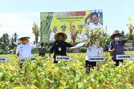 Jaga Ketahanan Pangan, Kementan Minta Petani Beli Benih Bersertifikat Genjot Produksi