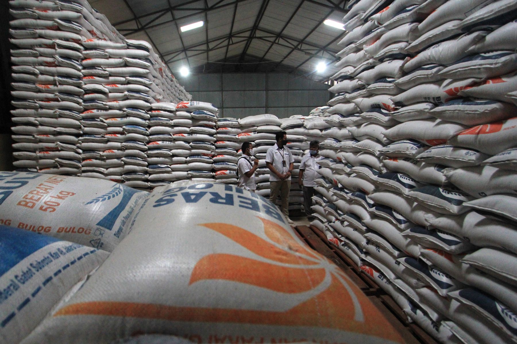Hingga Mei 2023 Bulog Telah Serap 500 Ribu Ton Beras Petani