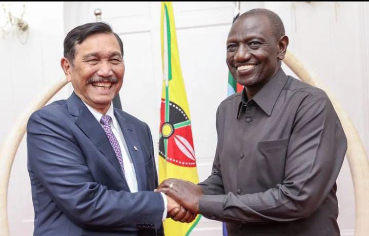 Sambangi Kenya, Menko Marves Bahas Sejumlah Rencana Investasi Panas Bumi hingga Impor