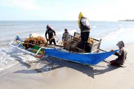 Fasilitasi Investasi Rumput Laut di Wakatobi, Ini yang Dilakukan Kementerian KP