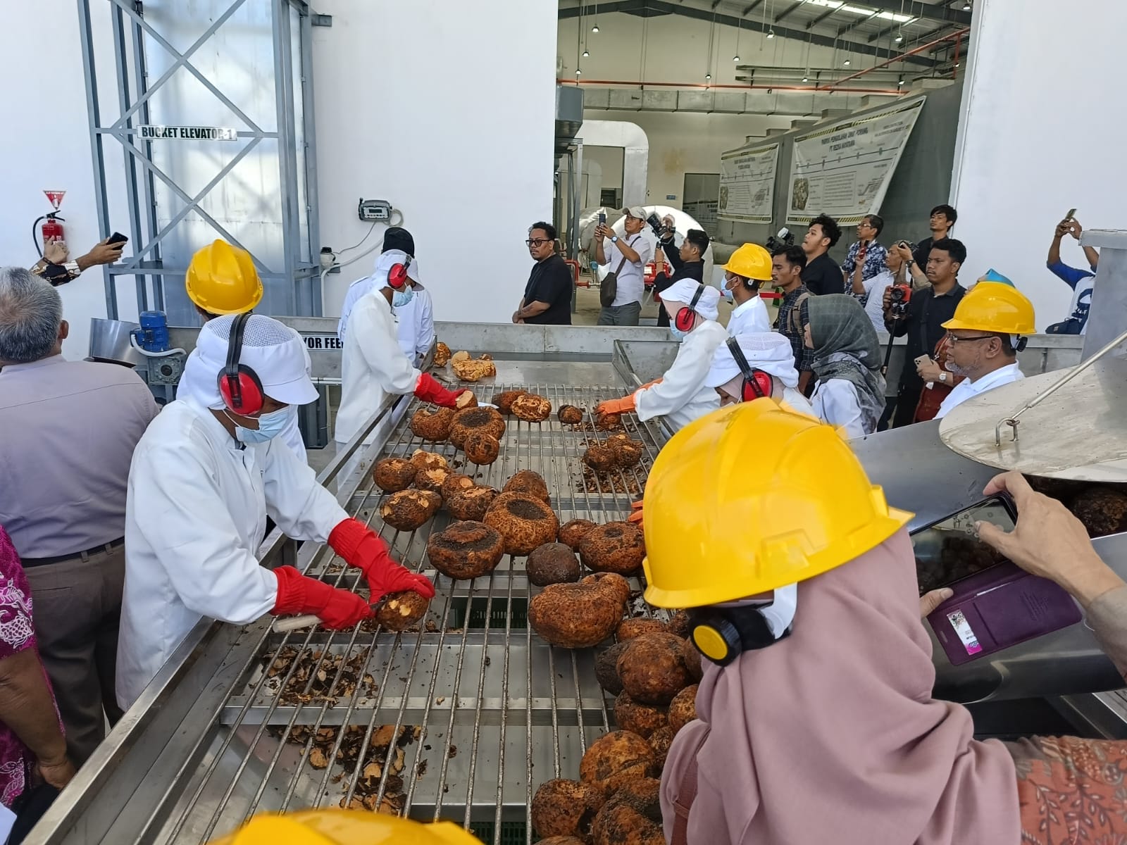 PT Rezka Nayatama meresmikan Pabrik Tepung Glukomanan hasil Olahan Umbi Porang, di Kecamatan Sekotong, Lombok Barat, Nusa Tenggara Barat, Rabu (26/7/2023). dok. ist. Resmikan Pabrik Glukomanan Umbi Porang di NTB, Ini Lompatan Besar Rezka Nayatama
