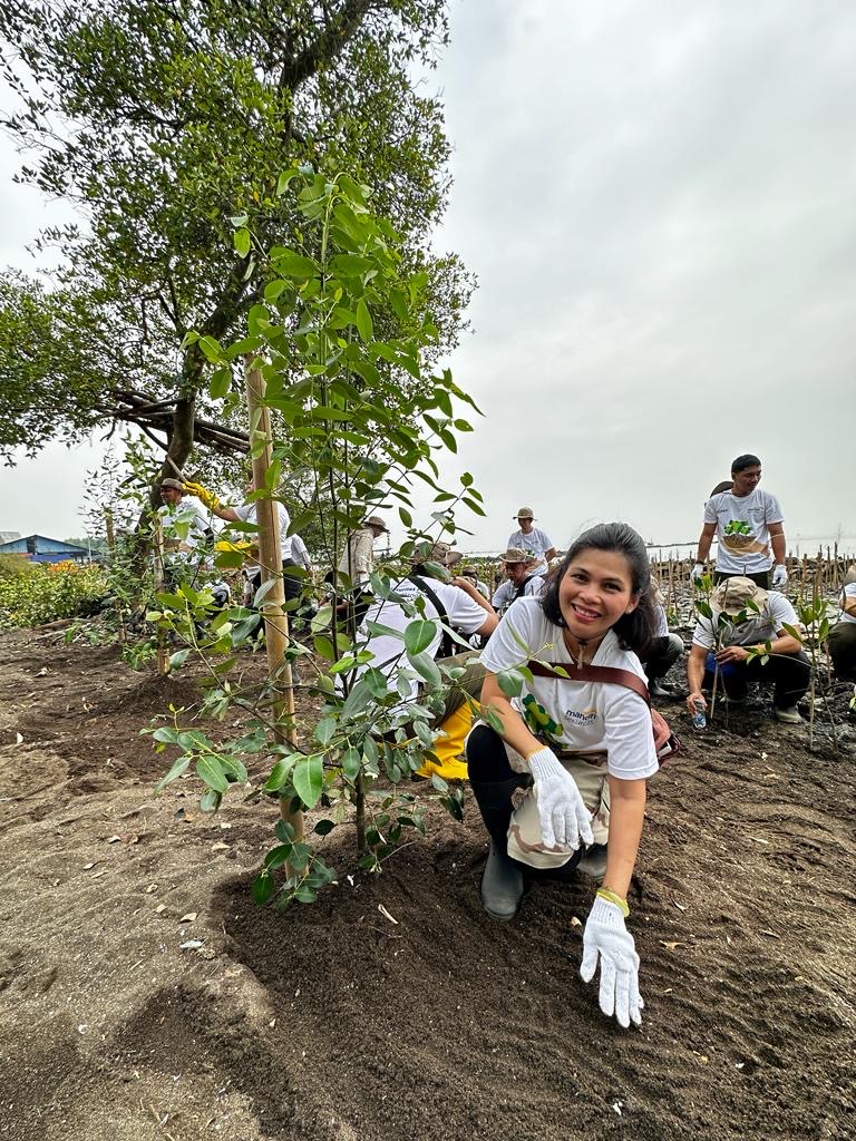 Theodora Manik, Direktur Retail beserta tim Mandiri Sekuritas menanam pohon Mangrove di desa Sukawali, Tangerang, Rabu, 26 Juli 2023 dalam rangka kontribusi perusahaan kepada kelestarian lingkungan yang berkelanjutan di hari Mangrove sedunia. Peduli Lingkungan, Mandiri Sekuritas Tanam 1001 Mangrove