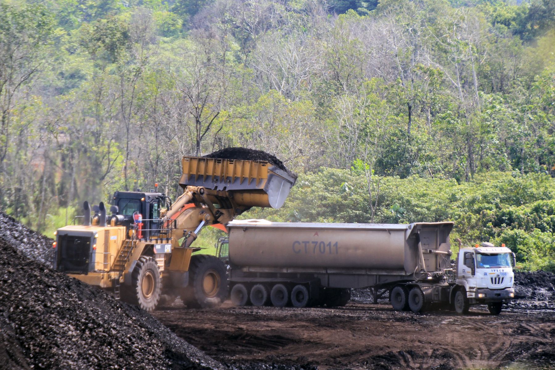 Sumber Global Energy (SGER) Tabur Dividen Interim Rp28 per Lembar, Ini Jadwalnya