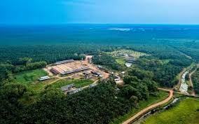 Perusahaan Sawit Pulau Subur (PTPS) Gelar Book Building Rp198-206 per Saham