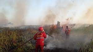 Terkendala Sumber Air, Karhutla di Palangkaraya Kalteng Sulit Dipadamkan