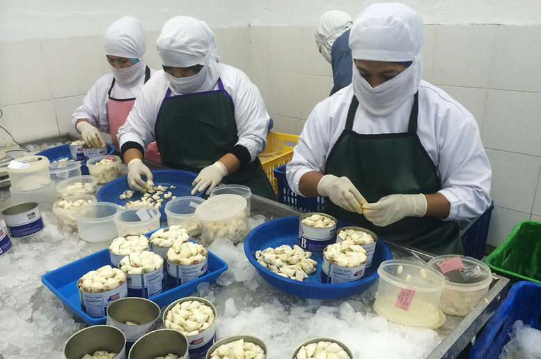 Prima Cakrawala (PCAR) Restrukturisasi Utang ke Pool Advista (POLA) Rp11,8 M