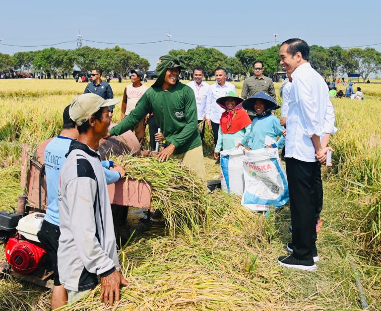 Presiden Akui Cadangan Beras Aman, Tapi Masih Butuh Impor Untuk Turunkan Harga