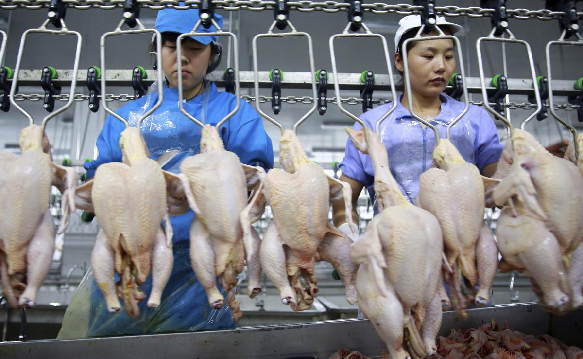 Terpangkas 16 Persen, Laba Charoen Pokphand (CPIN) Kuartal III-2023 Sisa Rp2,67 Triliun