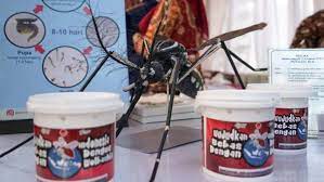 Empat Fase Penelitian Nyamuk BerWolbachia Bergulir Oleh UGM, dapat Rekomendasi WHO