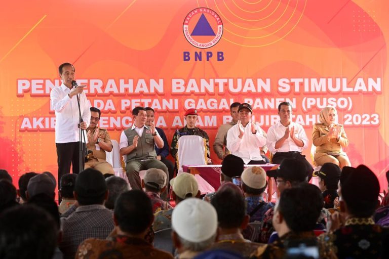 Pemerintah Bantu Rp8 Juta per Hektare Lahan Petani Terdampak Puso