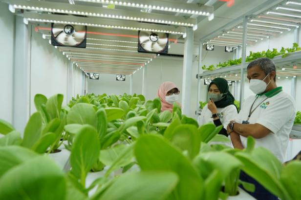 Pelanggan Program Electrifying Agriculture PLN Tumbuh 25 Persen Sepanjang 2023