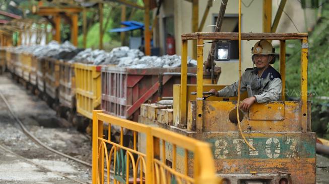 Tiga Industri Strategis Ini Incar Pemanfaatan Mineral di Masa Depan