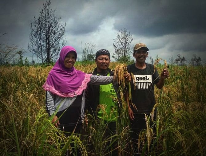 Permudah Petani Akses Pembiayaan, Kemenkeu Imbau Perbankan Maksimalkan KUR