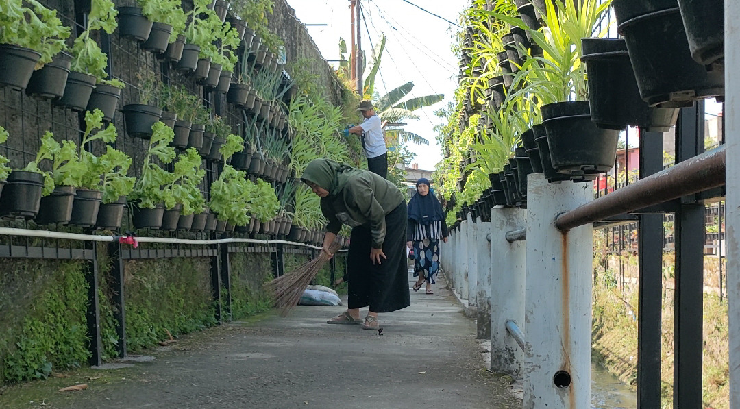Sukses BRI melalui BRInita sukses urban farming Kelurahan Padjajaran, Kota Bandung. dok. BRI. BRInita dan Sukses Percontohan Urban Farming di Bandung