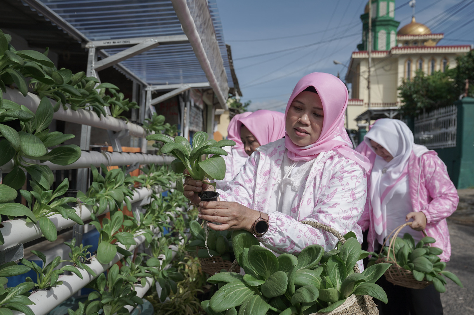 Warga Kelurahan Surabaya, Kecamatan Kedaton, Bandar Lampung sukses menyulap urban farming. dok.BRI. BRInita Sulap Lahan Sempit jadi Urban Farming Produktif