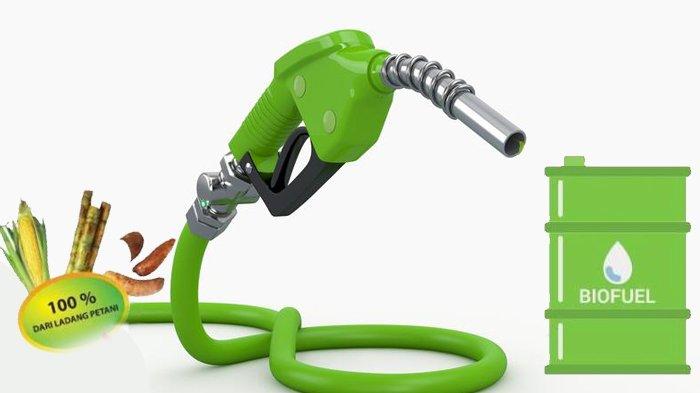 Bioenergi Sumbang 7,7 Persen Bauran Energi Nasional